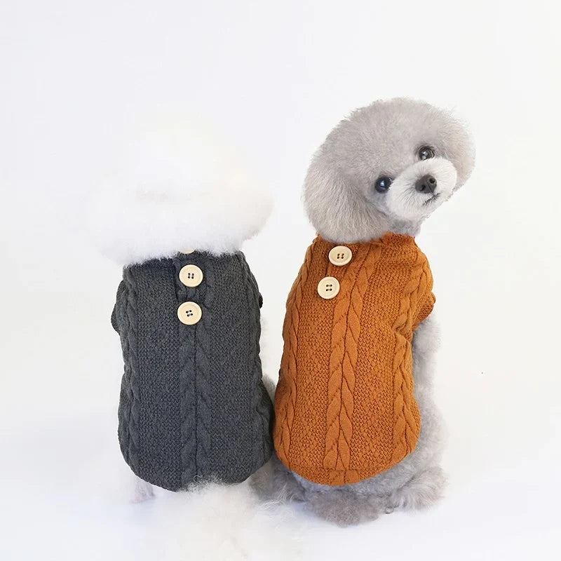 Dog wearing a winter jacket