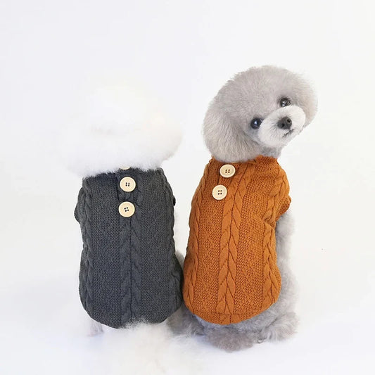 Dog wearing a winter jacket
