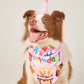 Dog Happy Birthday Decoration Dog Costume Hats Bowknot Bandana Neckerchief Bibs Banners Party Cat Dog Pets Accessories Perros