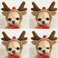 Autumn And Winter Sweatshirt Fleece Change Small Medium-Sized Dogs Cats Pets Teddy Fighting Clothes Supplies