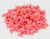 PipiFren Small Dogs Grooming Bows Hair Yorkshire Accessories For Pets Supplies Hair Clips Grooming Table Bows honden strikjes