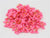PipiFren Small Dogs Grooming Bows Hair Yorkshire Accessories For Pets Supplies Hair Clips Grooming Table Bows honden strikjes