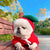 Autumn And Winter Sweatshirt Fleece Change Small Medium-Sized Dogs Cats Pets Teddy Fighting Clothes Supplies