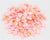 PipiFren Small Dogs Grooming Bows Hair Yorkshire Accessories For Pets Supplies Hair Clips Grooming Table Bows honden strikjes