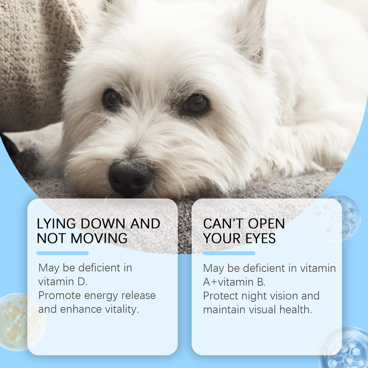 Multivitamin Tablets For Dogs, Cats, Dogs And Pets Absorb Nutritional Health Supplements