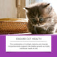 Pet Cat Vitamin Drops Care For Pets With Physical Discomfort Daily Care Vitamin Supplements